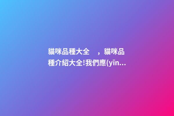 貓咪品種大全，貓咪品種介紹大全!我們應(yīng)該怎么選擇適合自己的貓咪-第1張-觀點(diǎn)-玄機(jī)派